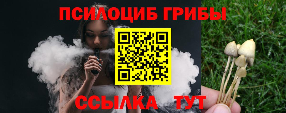 Артёмовский  Галлюциногенные грибы Magic Shrooms  Псилоцибиновые грибы прущие грибы  Вход с VPN 